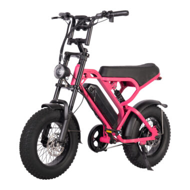 Mini 250W 16 inch fat tire electric bike for adults