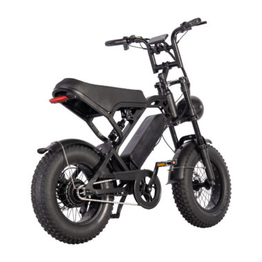 Mini 250W 16 inch fat tire electric bike for adults