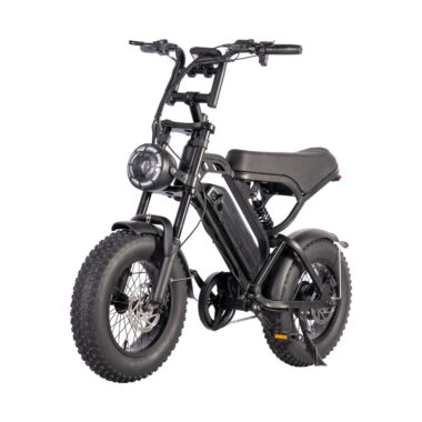 Mini 250W 16 inch fat tire electric bike for adults